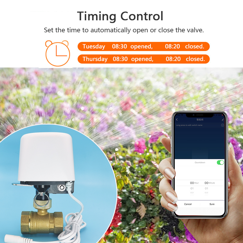 1/2インチ 3/4インチ 1インチ DN32 Tuya Z - Smart Home Setup のレビューと価格