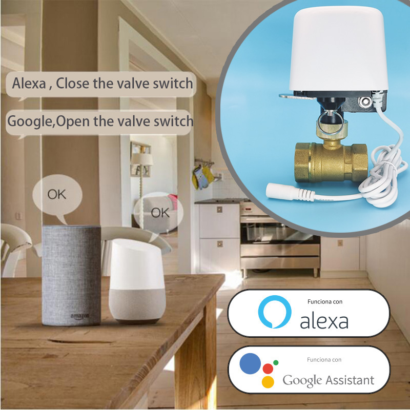 1/2インチ 3/4インチ 1インチ DN32 Tuya Z - Smart Home Setup のレビューと価格