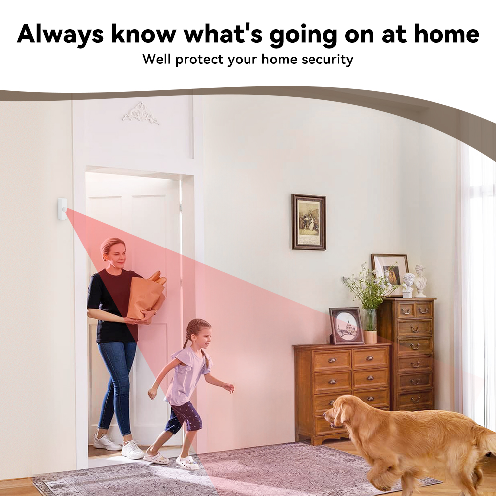 Tuya スマート PIR モーションセンサー スマートホー - Smart Home Ikea のレビューと価格