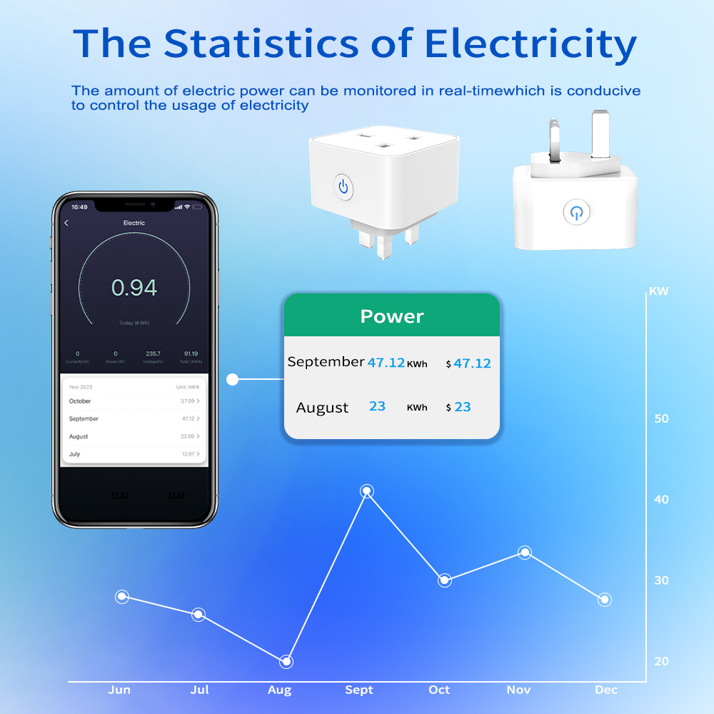 Tuya スマートソケット 16A/20A WiFi または - Smart Home Setup のレビューと価格