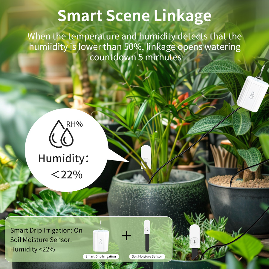 スマートZigbee 3.0土壌テスター、植物・庭園用湿度・ - Smart Home Setup のレビューと価格